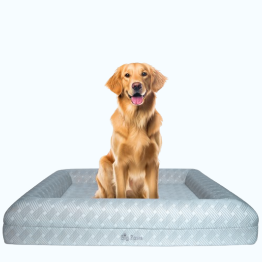 Big Paws Cooling Orthopedic Dog Bed – Large Size Supportive Foam • Ice Silk Cooling Cover • Washable & Waterproof Design